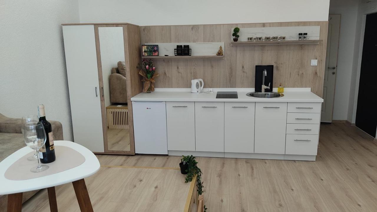 סראייבו Studio Apartment - A Bit Of Joy מראה חיצוני תמונה